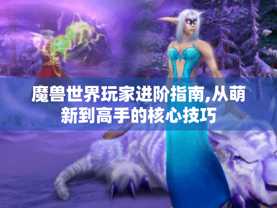 魔兽世界玩家进阶指南,从萌新到高手的核心技巧