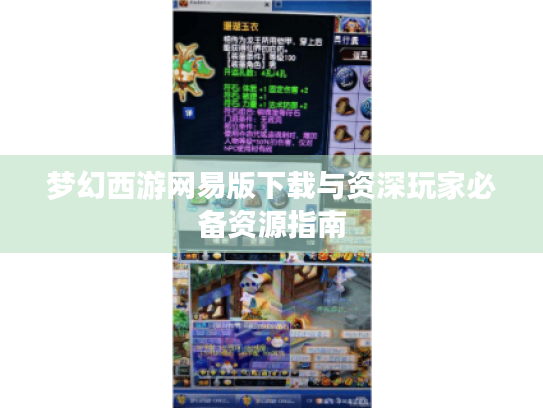 梦幻西游网易版下载与资深玩家必备资源指南 梦幻西游网易版下载与资深玩家必备资源指南