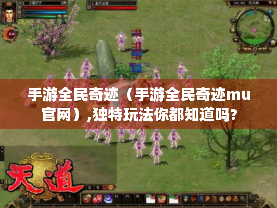 手游全民奇迹(手游全民奇迹mu官网),独特玩法你都知道吗? 手游全民奇迹(手游全民奇迹mu官网),独特玩法你都知道吗?