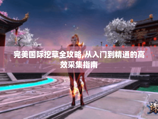 完美国际挖草全攻略,从入门到精通的高效采集指南