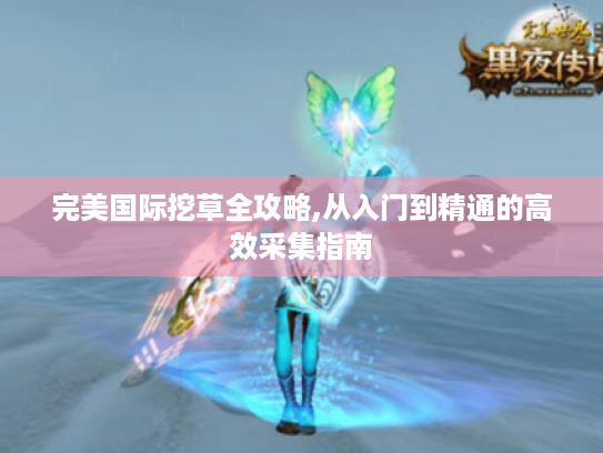 完美国际挖草全攻略,从入门到精通的高效采集指南