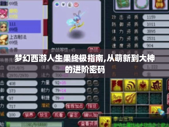 梦幻西游人生果终极指南,从萌新到大神的进阶密码 梦幻西游人生果终极指南,从萌新到大神的进阶密码