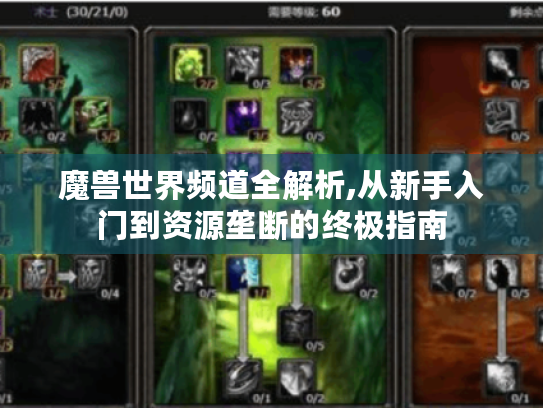 魔兽世界频道全解析,从新手入门到资源垄断的终极指南 魔兽世界频道全解析,从新手入门到资源垄断的终极指南