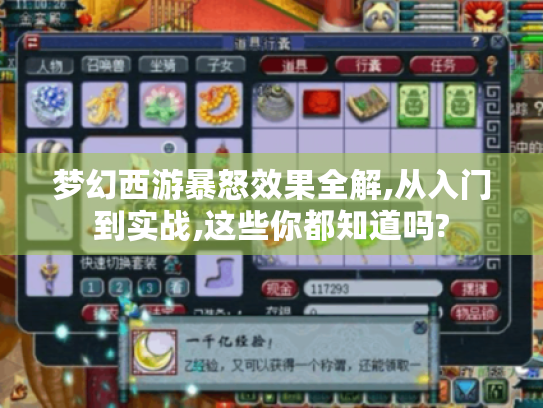 梦幻西游暴怒效果全解,从入门到实战,这些你都知道吗? 梦幻西游暴怒效果全解,从入门到实战,这些你都知道吗?