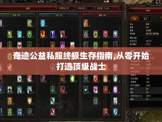 奇迹公益私服终极生存指南,从零开始打造顶级战士 奇迹公益私服终极生存指南,从零开始打造顶级战士