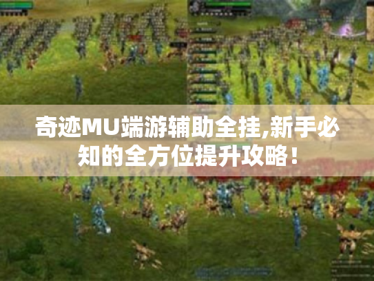 奇迹MU端游辅助全挂,新手必知的全方位提升攻略！
