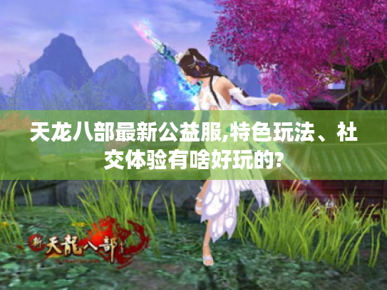 天龙八部最新公益服,特色玩法、社交体验有啥好玩的?