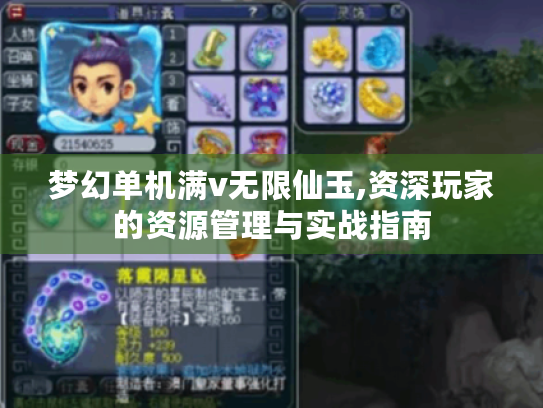 梦幻单机满v无限仙玉,资深玩家的资源管理与实战指南 梦幻单机满v无限仙玉,资深玩家的资源管理与实战指南