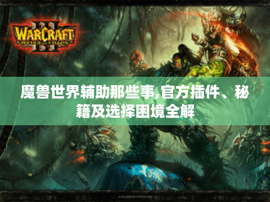 魔兽世界辅助那些事,官方插件、秘籍及选择困境全解