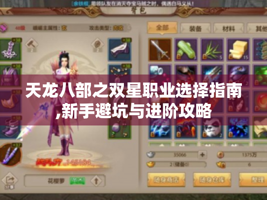天龙八部之双星职业选择指南,新手避坑与进阶攻略 天龙八部之双星职业选择指南,新手避坑与进阶攻略