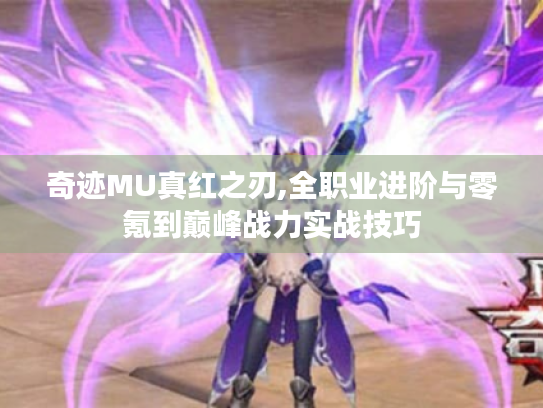 奇迹MU真红之刃,全职业进阶与零氪到巅峰战力实战技巧 奇迹MU真红之刃,全职业进阶与零氪到巅峰战力实战技巧