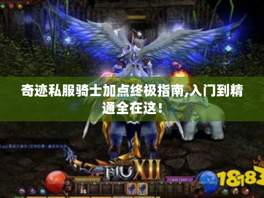 奇迹私服骑士加点终极指南,入门到精通全在这! 奇迹私服骑士加点终极指南,入门到精通全在这!