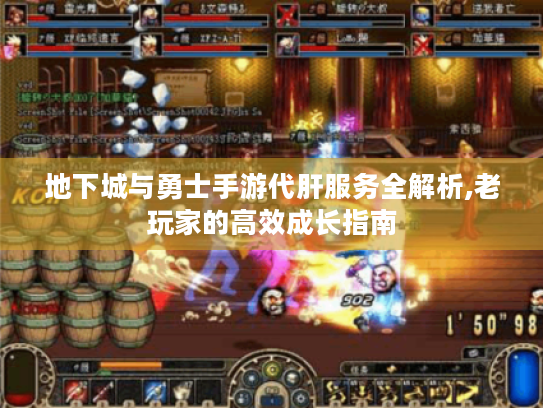 地下城与勇士手游代肝服务全解析,老玩家的高效成长指南