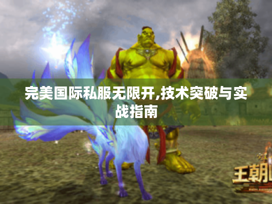 完美国际私服无限开,技术突破与实战指南 完美国际私服无限开,技术突破与实战指南