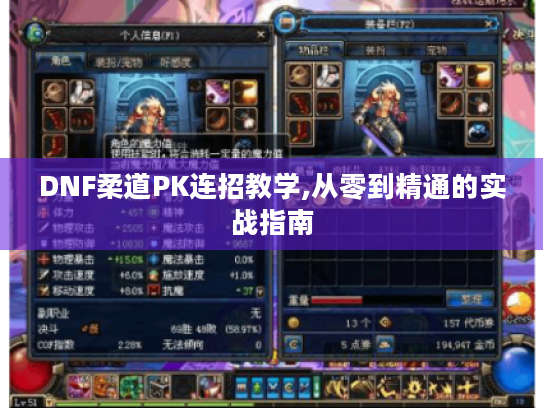 DNF柔道PK连招教学,从零到精通的实战指南 DNF柔道PK连招教学,从零到精通的实战指南
