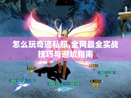 怎么玩奇迹私服,全网最全实战技巧与避坑指南 怎么玩奇迹私服,全网最全实战技巧与避坑指南