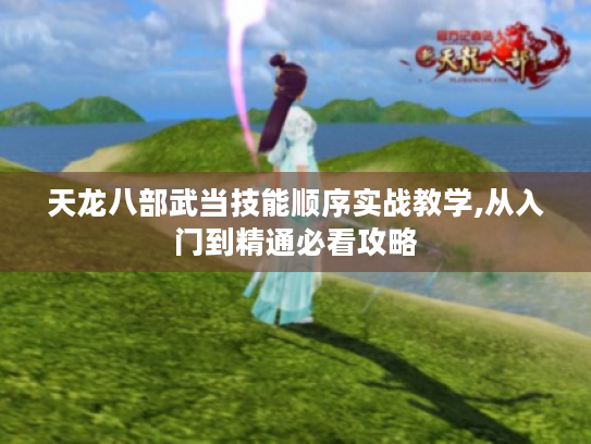 天龙八部武当技能顺序实战教学,从入门到精通必看攻略