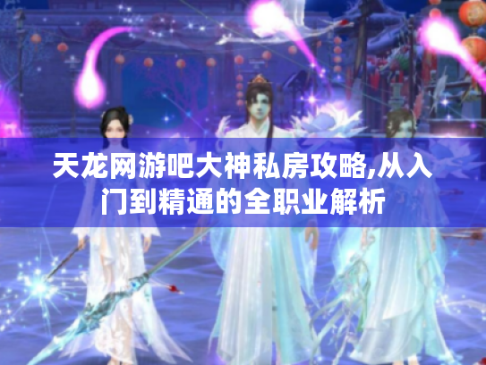 天龙网游吧大神私房攻略,从入门到精通的全职业解析