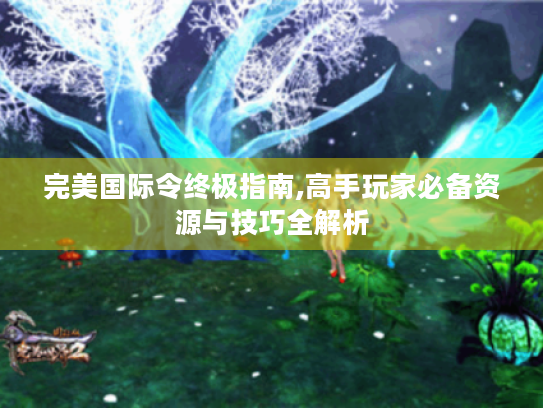 完美国际令终极指南,高手玩家必备资源与技巧全解析 完美国际令终极指南,高手玩家必备资源与技巧全解析