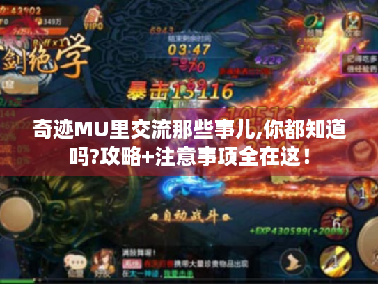 奇迹MU里交流那些事儿,你都知道吗?攻略+注意事项全在这！