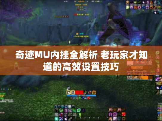 奇迹MU内挂全解析 老玩家才知道的高效设置技巧 奇迹MU内挂全解析 老玩家才知道的高效设置技巧