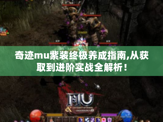 奇迹mu紫装终极养成指南,从获取到进阶实战全解析！