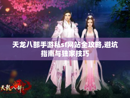 天龙八部手游私sf网站全攻略,避坑指南与独家技巧 天龙八部手游私sf网站全攻略,避坑指南与独家技巧