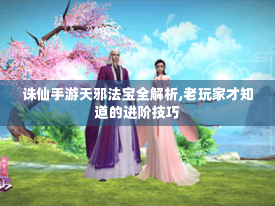 诛仙手游天邪法宝全解析,老玩家才知道的进阶技巧