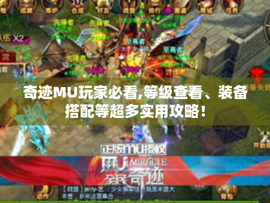 奇迹MU玩家必看,等级查看、装备搭配等超多实用攻略! 奇迹MU玩家必看,等级查看、装备搭配等超多实用攻略!