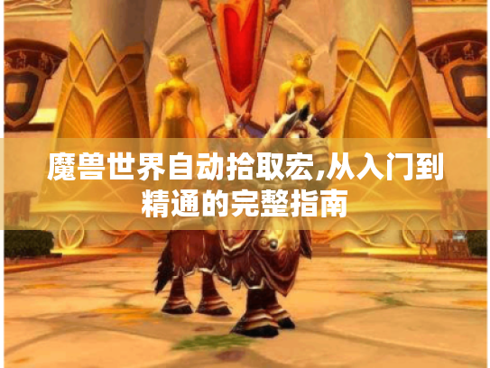 魔兽世界自动拾取宏,从入门到精通的完整指南 魔兽世界自动拾取宏,从入门到精通的完整指南