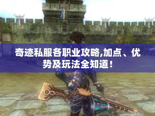 奇迹私服各职业攻略,加点、优势及玩法全知道！