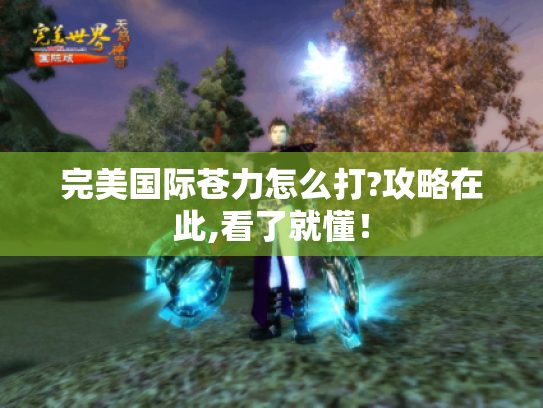 完美国际苍力怎么打?攻略在此,看了就懂! 完美国际苍力怎么打?攻略在此,看了就懂!