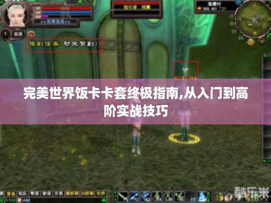 完美世界饭卡卡套终极指南,从入门到高阶实战技巧 完美世界饭卡卡套终极指南,从入门到高阶实战技巧