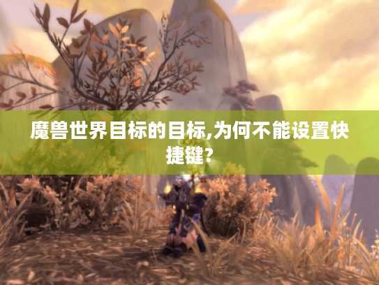 魔兽世界目标的目标,为何不能设置快捷键? 魔兽世界目标的目标,为何不能设置快捷键?