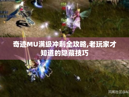 奇迹MU满级冲刺全攻略,老玩家才知道的隐藏技巧