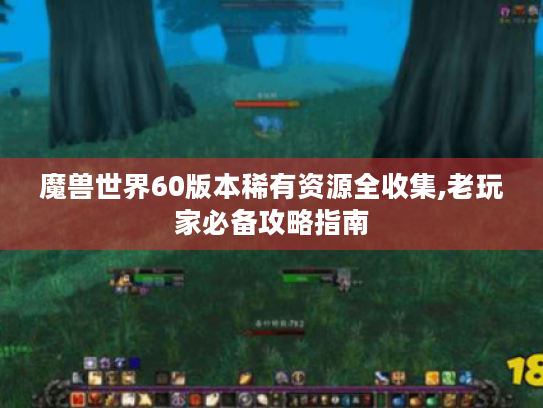 魔兽世界60版本稀有资源全收集,老玩家必备攻略指南 魔兽世界60版本稀有资源全收集,老玩家必备攻略指南