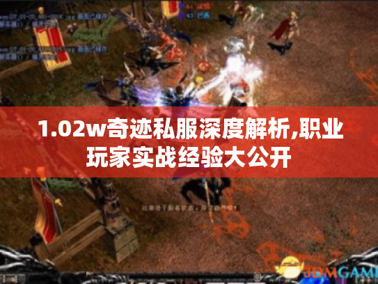 1.02w奇迹私服深度解析,职业玩家实战经验大公开 1.02w奇迹私服深度解析,职业玩家实战经验大公开