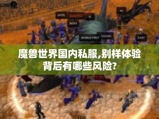 魔兽世界国内私服,别样体验背后有哪些风险?
