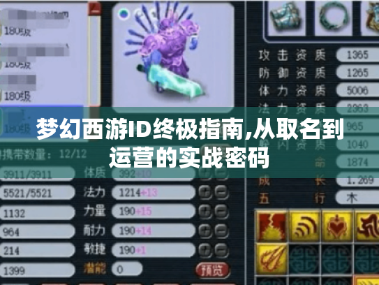 梦幻西游ID终极指南,从取名到运营的实战密码 梦幻西游ID终极指南,从取名到运营的实战密码
