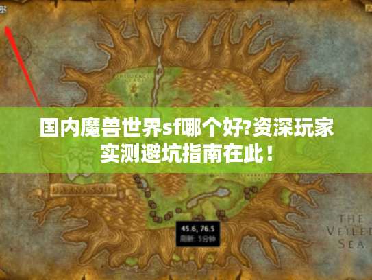 国内魔兽世界sf哪个好?资深玩家实测避坑指南在此! 国内魔兽世界sf哪个好?资深玩家实测避坑指南在此!