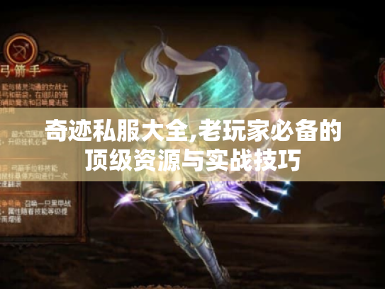奇迹私服大全,老玩家必备的顶级资源与实战技巧
