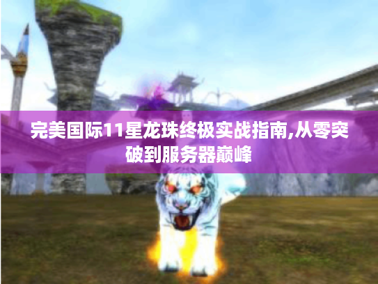 完美国际11星龙珠终极实战指南,从零突破到服务器巅峰