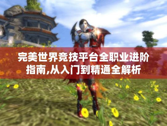 完美世界竞技平台全职业进阶指南,从入门到精通全解析 完美世界竞技平台全职业进阶指南,从入门到精通全解析