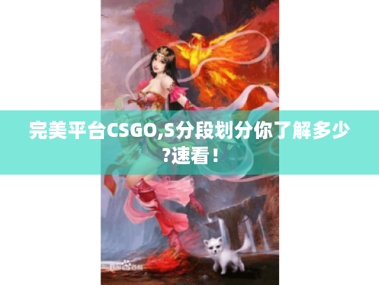 完美平台CSGO,S分段划分你了解多少?速看! 完美平台CSGO,S分段划分你了解多少?速看!