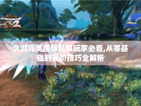 久游完美国际私服玩家必看,从零基础到高阶技巧全解析 久游完美国际私服玩家必看,从零基础到高阶技巧全解析