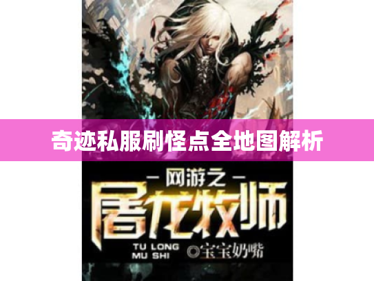 奇迹私服刷怪点全地图解析 奇迹私服刷怪点全地图解析