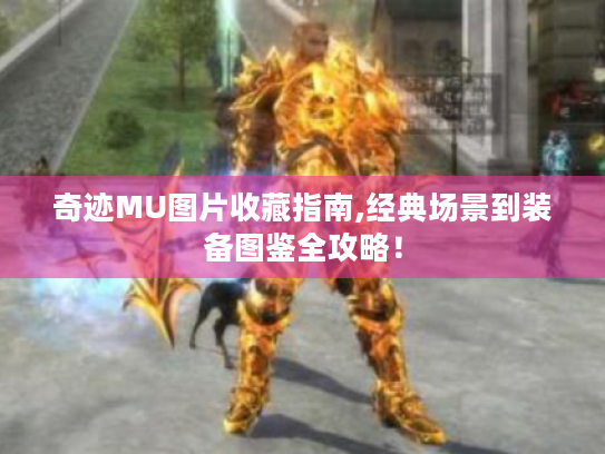 奇迹MU图片收藏指南,经典场景到装备图鉴全攻略! 奇迹MU图片收藏指南,经典场景到装备图鉴全攻略!