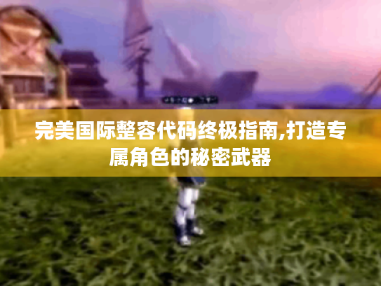 完美国际整容代码终极指南,打造专属角色的秘密武器 完美国际整容代码终极指南,打造专属角色的秘密武器