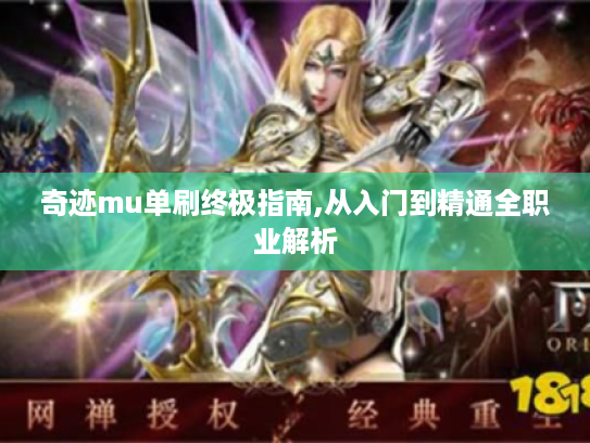 奇迹mu单刷终极指南,从入门到精通全职业解析 奇迹mu单刷终极指南,从入门到精通全职业解析