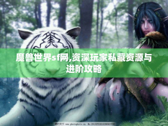魔兽世界sf网,资深玩家私藏资源与进阶攻略 魔兽世界sf网,资深玩家私藏资源与进阶攻略